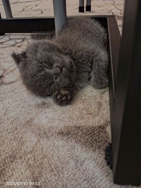 Доброе утро, Кубань!. Краснодар +5 °С