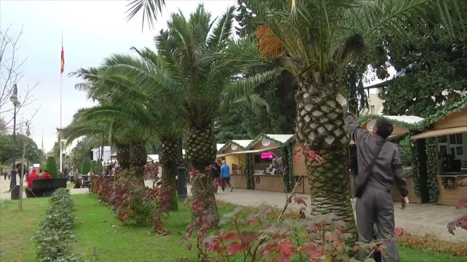 � ���� ���������� � ������� ������� �������������� ��������