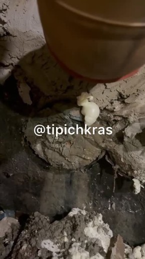 Жительница Краснодара с улицы Селезнева рассказала об ужасе, который происходит в подвале ее многоэтажки