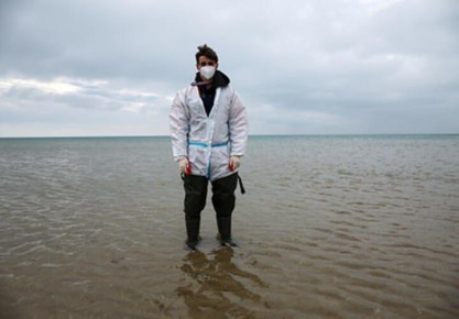 Будет ли Черное море пригодным для купания через 10 лет: что об этом известно исследователям?