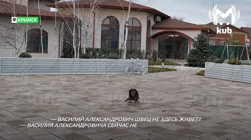 Kub Mash �������� ��������� ����� ���������� ������ ���� �����