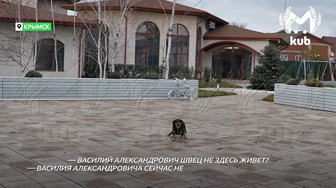 Kub Mash пытается разгадать тайну пустующего кресла мэра Анапы