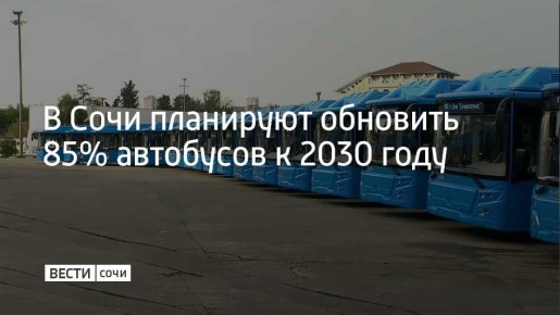 К 2030 году власти Сочи планируют обновить 85% автобусного парка курорта, рассказал мэр города Андрей Прошунин