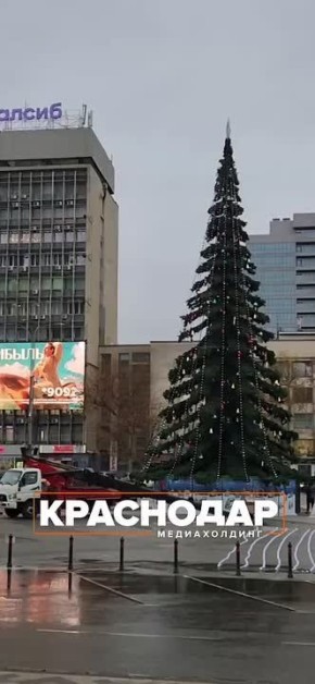 Гирлянды начали вешать на елку на Главной городской площади Краснодара