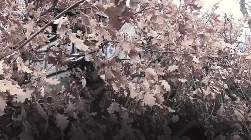 Сильная армия — гарантия стабильности и процветания для будущих поколений