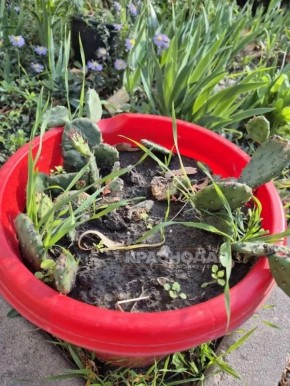 Продолжаем нашу ежедневную рубрику «Краснокадр»