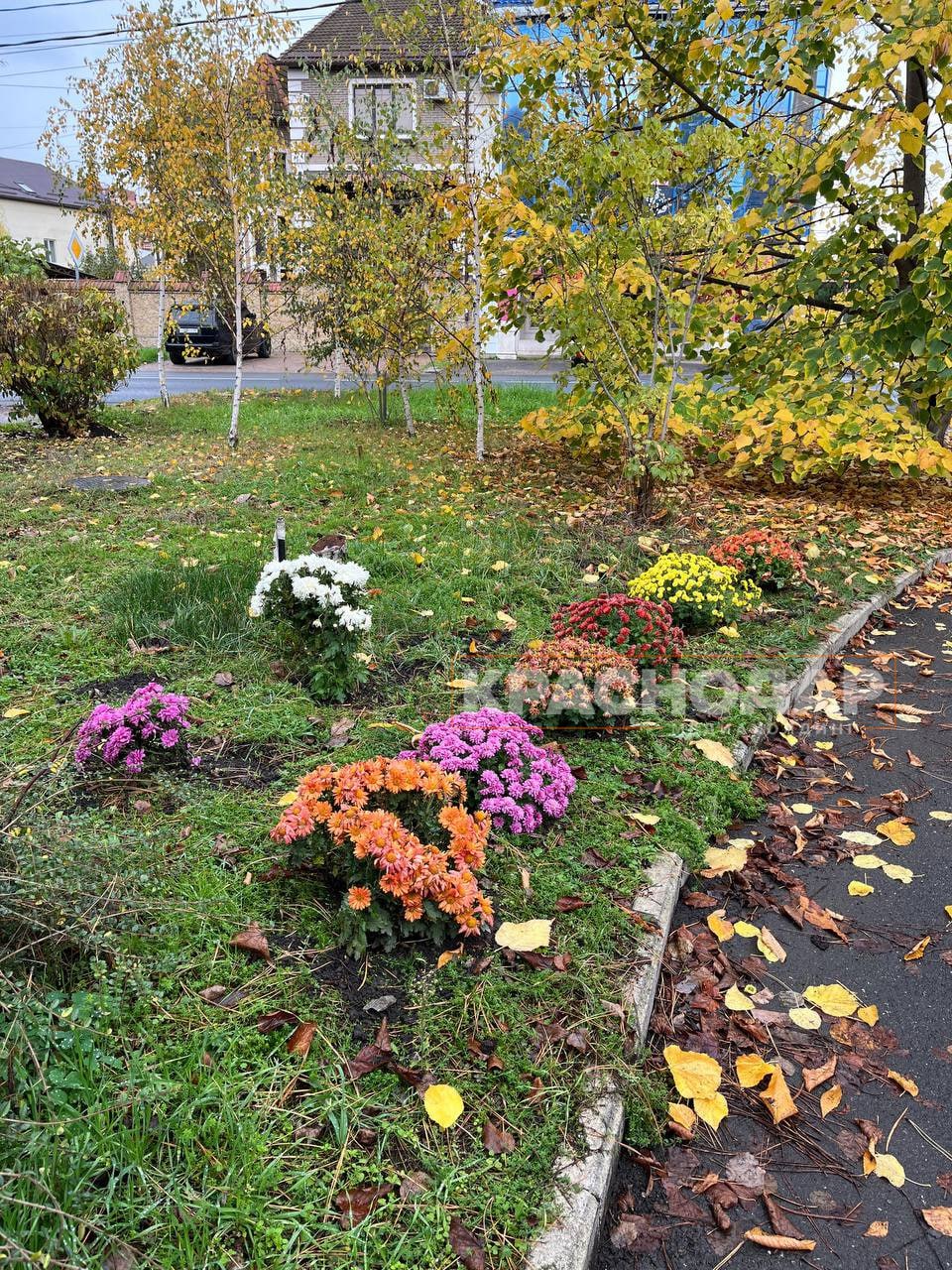 Голосуем за лучший «Краснокадр» Голосуем за лучший «Краснокадр»