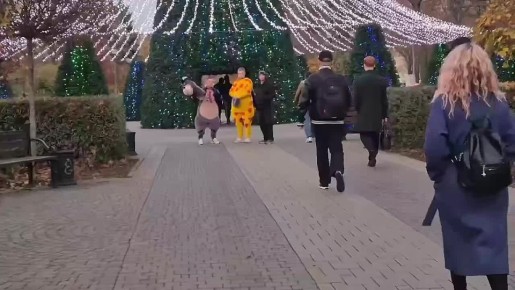 Ряженые звери активизировались