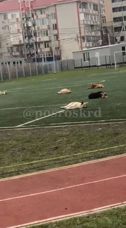 ��� ����������� �� ��������� � ��������� �������� � �������� ������ ������������ ����� �� ������ 15.12.2025 - 30.12.2025 � ��������� ������� ������: