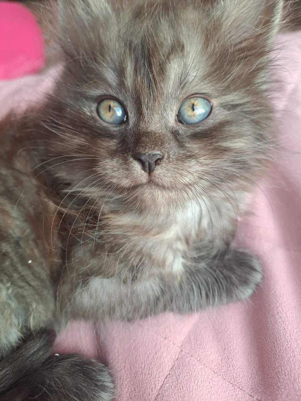 Доброе утро, Кубань!. Краснодар +8 °С Доброе утро, Кубань!. Краснодар +8 °С