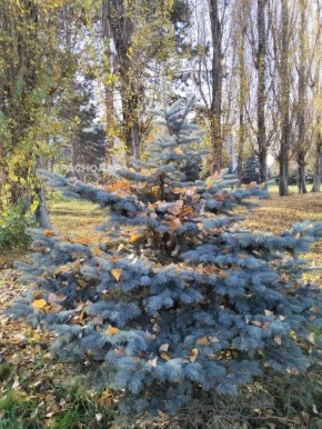 �������� �� ������ �����������