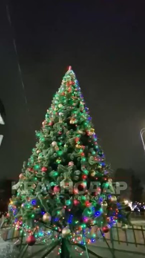 Показываем одну из самых любимых ёлочек города