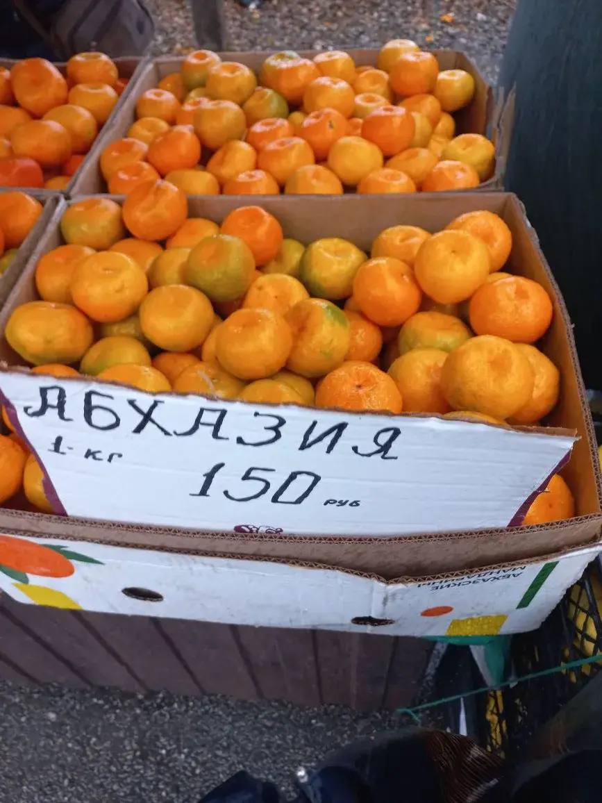 Фермерские цены в Краснодаре: дешевле супермаркета? Фермерские цены в Краснодаре: дешевле супермаркета?