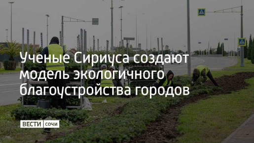 Исследователи разрабатывают методику восстановительного благоустройства – это подход, который позволяет не просто озеленять городские пространства, а формировать устойчивые экосистемы, способные поддерживать микроклимат и...