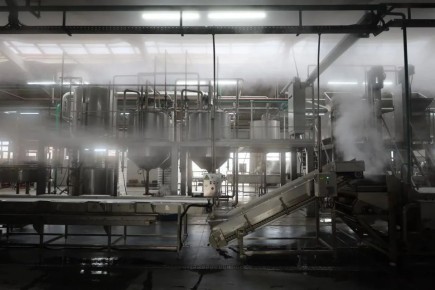 В Усть-Лабинске запустили вторую очередь консервного завода