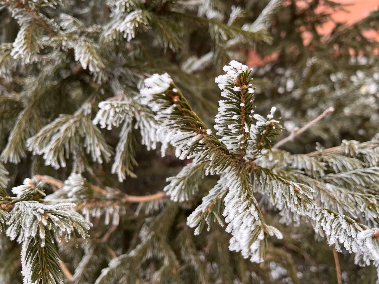 Погода на воскресенье, 14 декабря: похолодание и гололедица Погода на воскресенье, 14 декабря: похолодание и гололедица