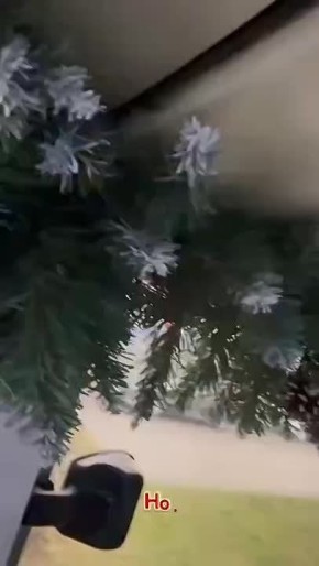 Обстановка в новогодних троллейбусах трамваях Краснодара