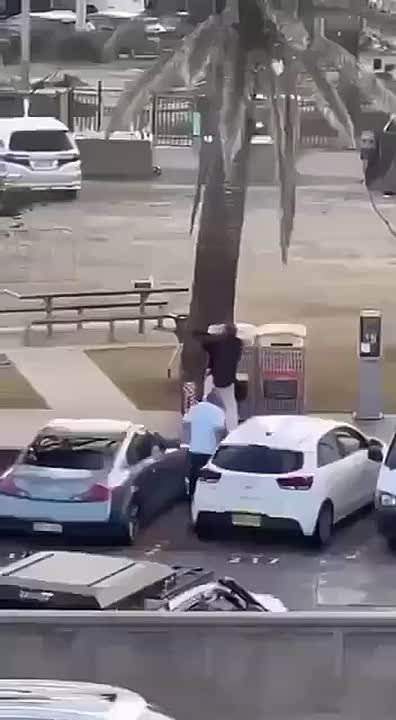 Пара из Сочи едва не оказалась в эпицентре стрельбы на пляже в Сиднее