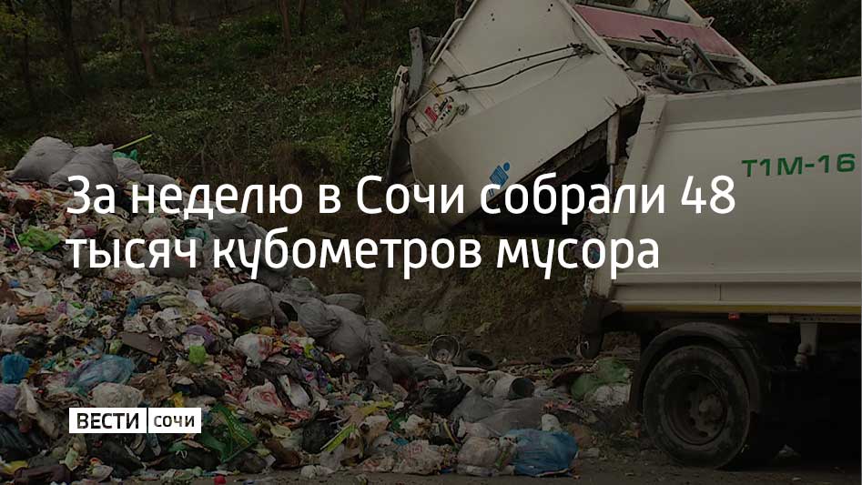 Для вывоза отходов задействовано 89 единиц спецтехники