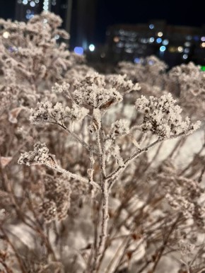 Погода на воскресенье, 14 декабря: похолодание и гололедица