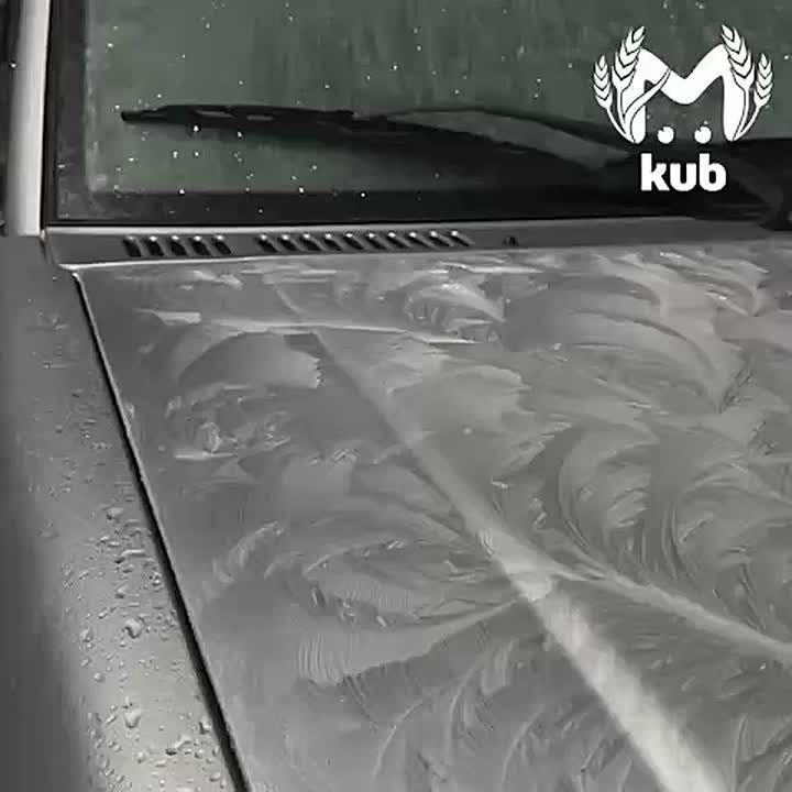 ��� ����� ������� ������� ���� ����� �� �������