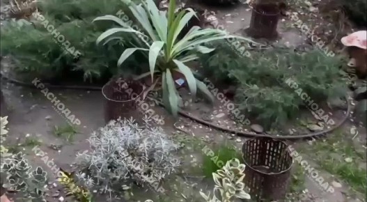 Неизвестные разбросали подозрительные препараты на детской площадке в Краснодаре