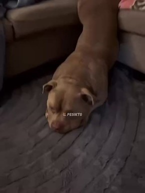 Когда пришел понедельник, но одной ногой ты еще в воскресенье