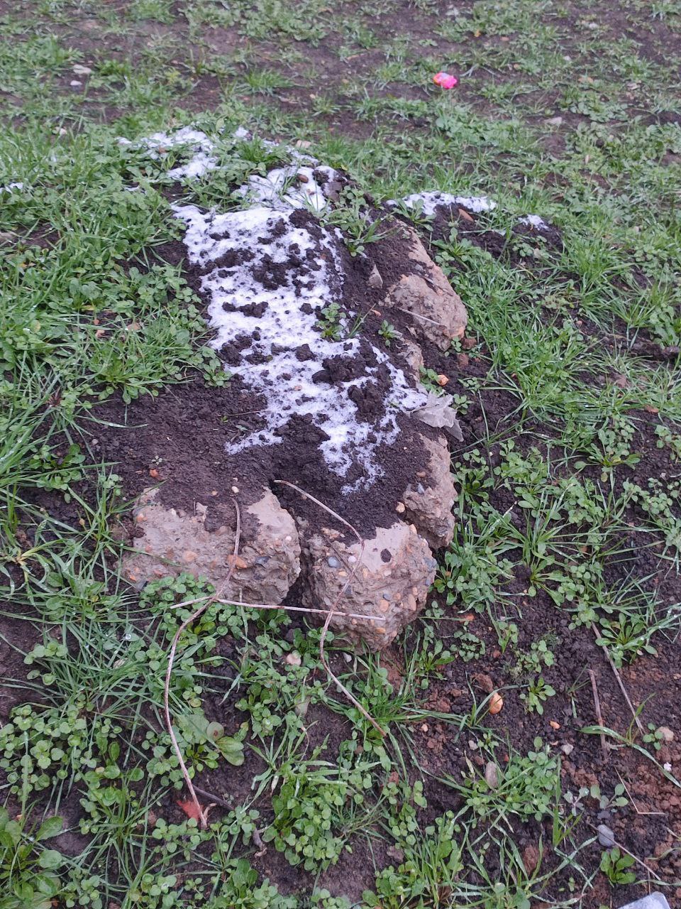 Ты снег видишь? А он есть Ты снег видишь? А он есть