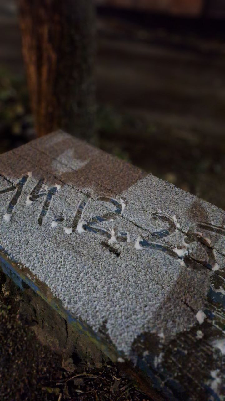 Ты снег видишь? А он есть Ты снег видишь? А он есть