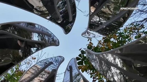 Узнали у краснодарцев, украсили ли они елку, и что загадали у Деда Мороза