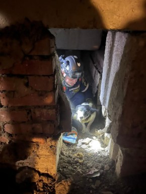 ���-�� ������� ����� ���. ����������� � �������������� ������ � ������������� ������ �� ������ ���������