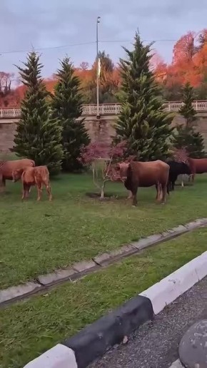 � ��� ��� ������� ������� � ����� � ��������� ������ ����