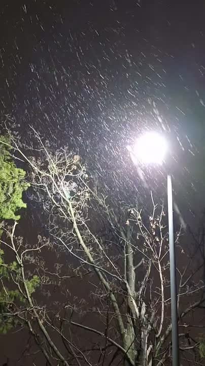 Ты снег видишь? А он есть