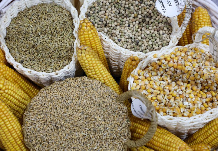 Компанию «Земля Кубани» оштрафовали на полмиллиона