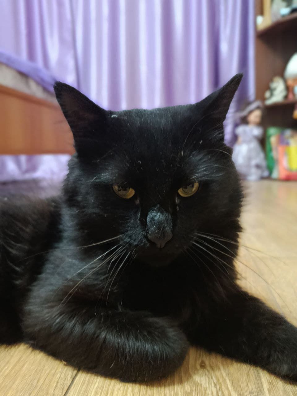 Доброе утро, Кубань!. Краснодар +2 °С Доброе утро, Кубань!. Краснодар +2 °С