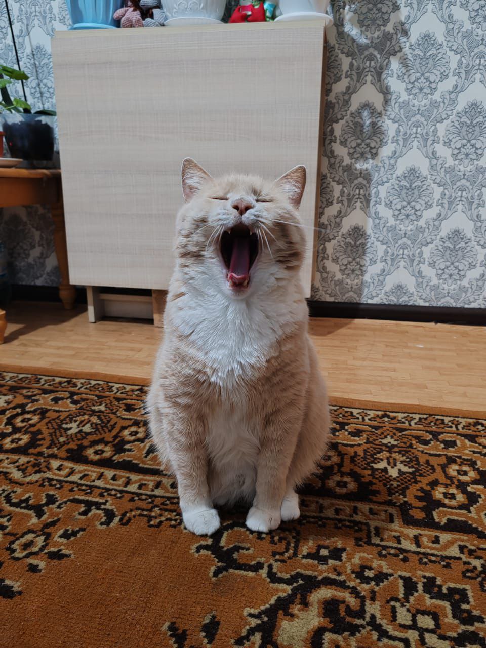 Доброе утро, Кубань!. Краснодар +2 °С Доброе утро, Кубань!. Краснодар +2 °С