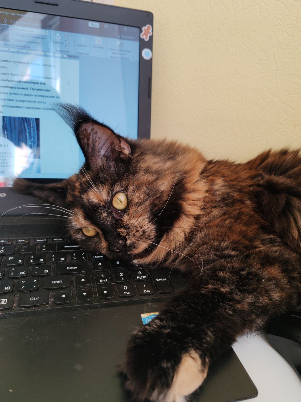 Доброе утро, Кубань!. Краснодар +2 °С Доброе утро, Кубань!. Краснодар +2 °С