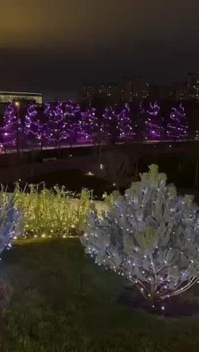 Новогодняя красота в парке "Краснодар"