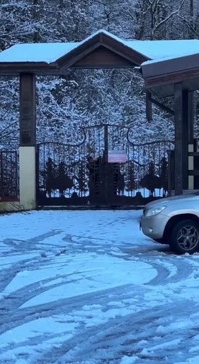 Растерянно ходила вдоль забора: операцию по спасению оленихи провели в горах Сочи