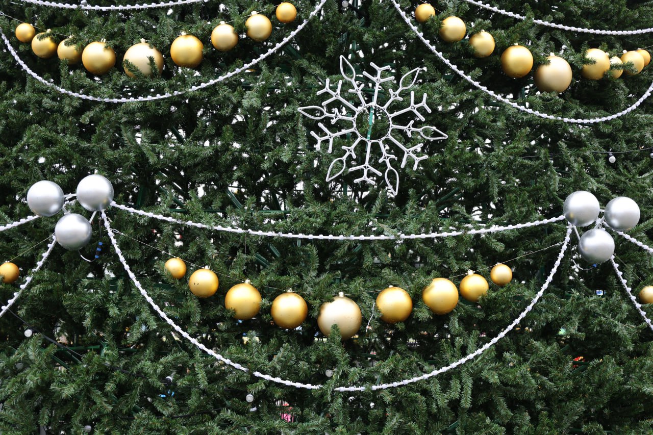 НЕСКОЛЬКО ФАКТОВ О ГЛАВНОЙ ЁЛКЕ АРМАВИРА НЕСКОЛЬКО ФАКТОВ О ГЛАВНОЙ ЁЛКЕ АРМАВИРА