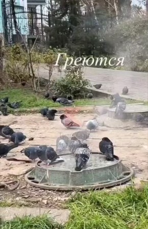 Одни греются, другие – ждут