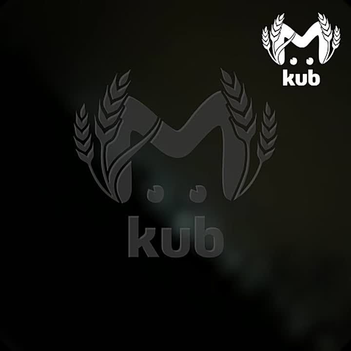 "Щас в***бет! Да ну на***!"