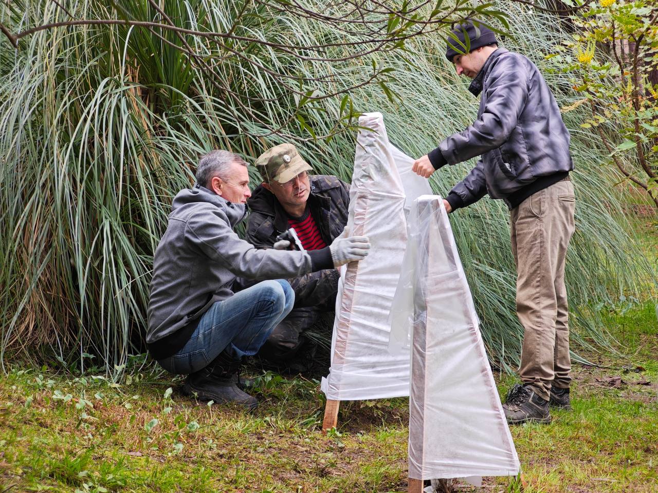 Южные растения укрыли от холодов в сочинском дендропарке