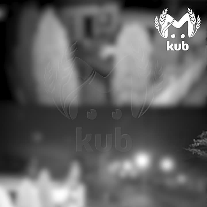 Момент уничтожения беспилотника в Славянске-на-Кубани попал на камеру одного из частных домов