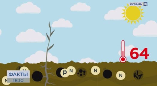 Сценарий засухи-2025 может повториться