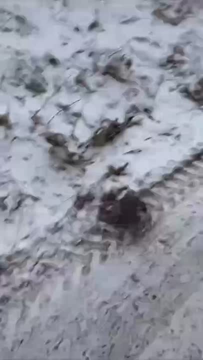 «Почему певец обладает привилегиями»: репер Макан выложил сторис со службы, хотя пользоваться смартфонами в армии запрещено