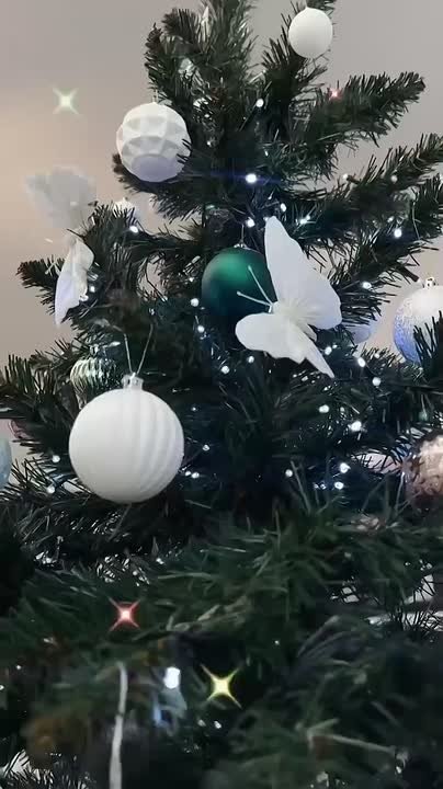 Глава Краснодара принял участие в акции «Елка желаний»