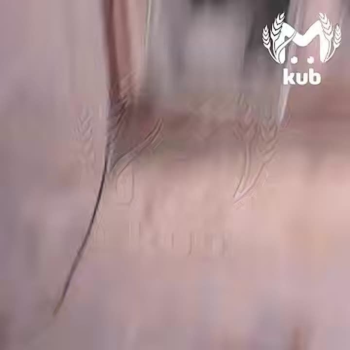 ������� ���� ����� �� 53 ������� � ���������� ������