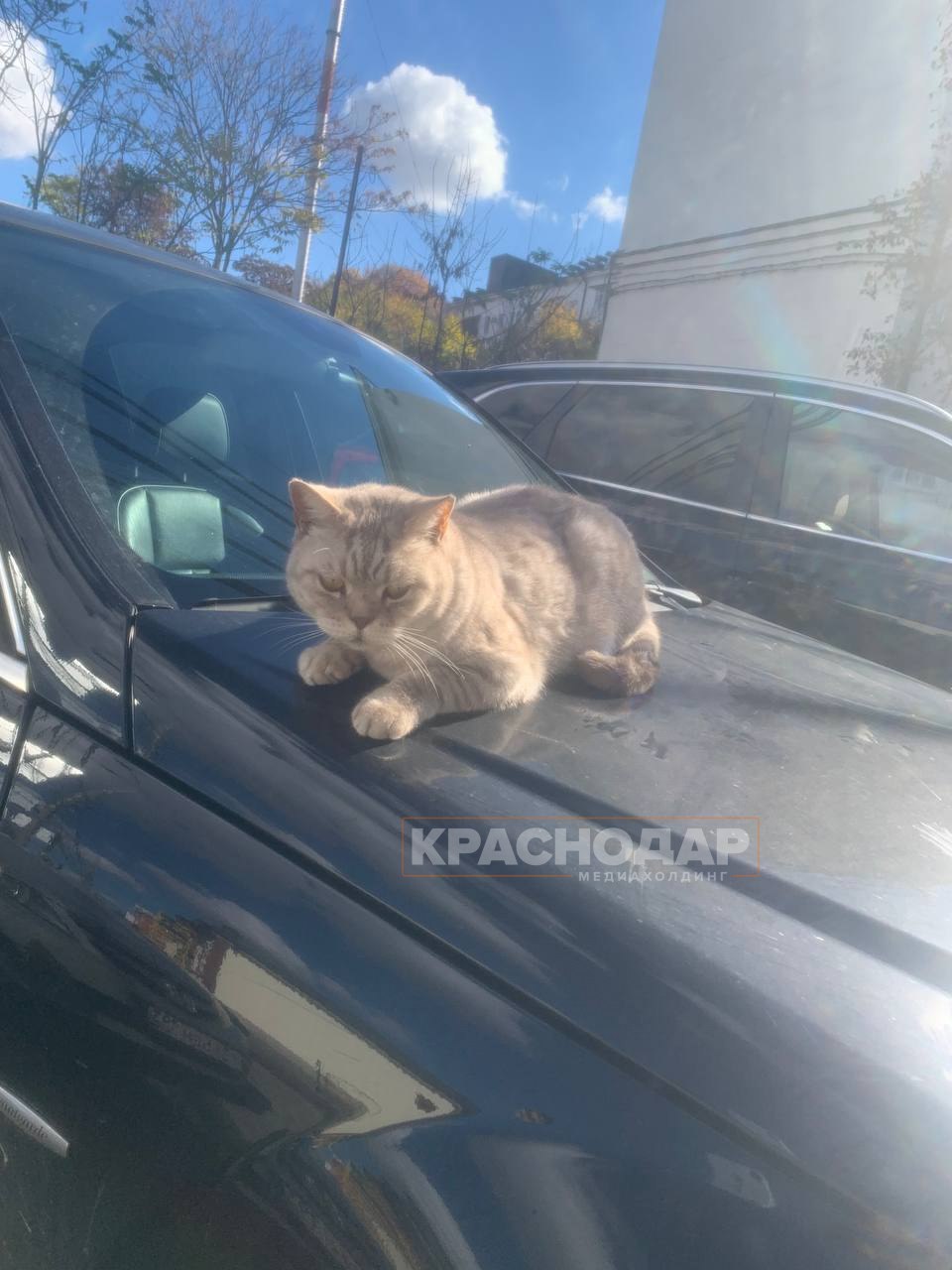 Продолжаем нашу ежедневную рубрику «Краснокадр»