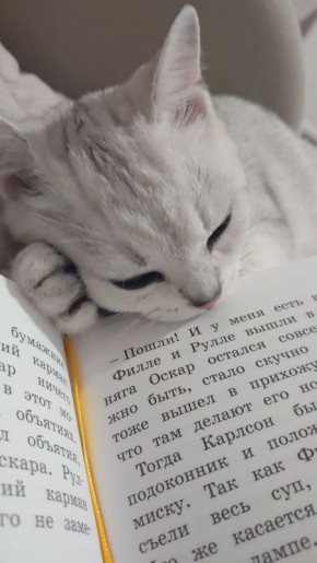 Доброе утро, Кубань!. Краснодар +7 °С